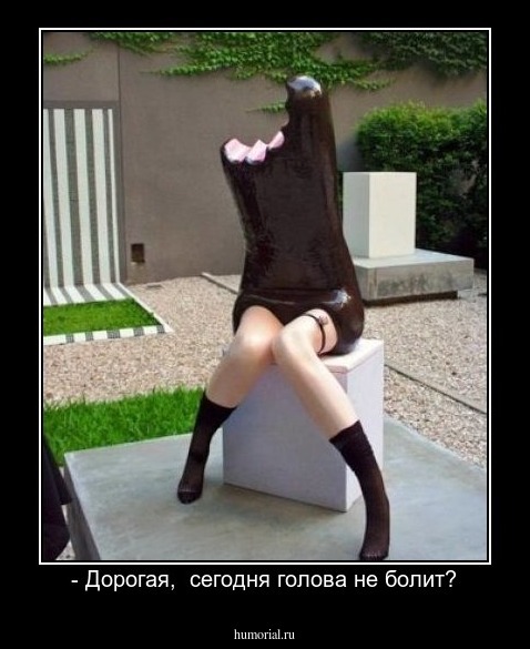 - Дорогая,  сегодня голова не болит?