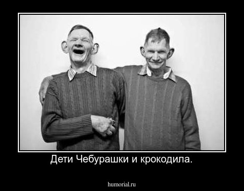 Дети Чебурашки и крокодила.