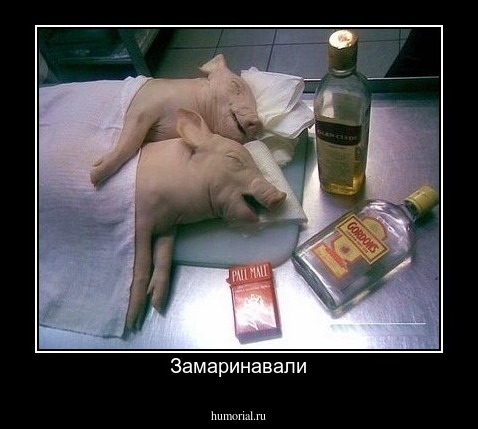 Замаринавали