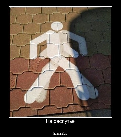 На распутье