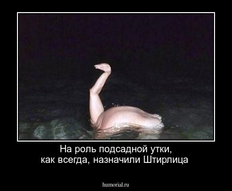 На роль подсадной утки, как всегда, назначили Штирлица