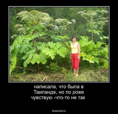 написала, что была в Таиланде, но по роже чувствую -что-то не так