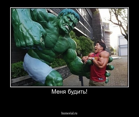 Меня будить!
