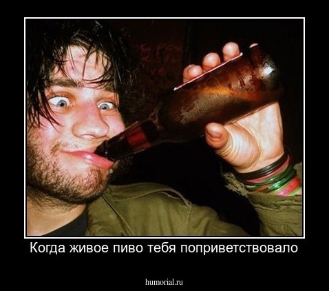 Когда живое пиво тебя поприветствовало
