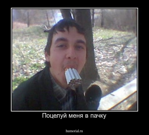 Поцелуй меня в пачку