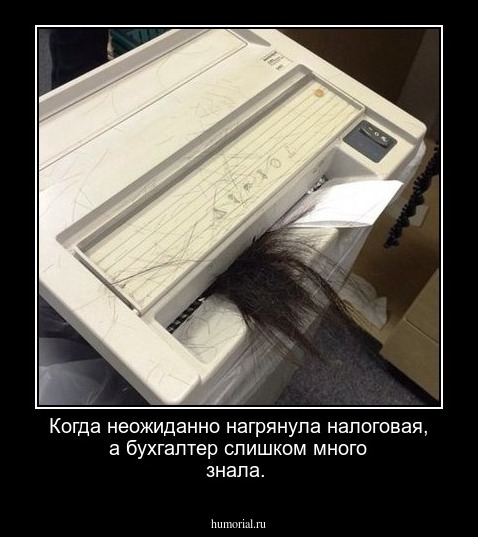 Когда неожиданно нагрянула налоговая, а бухгалтер слишком много знала.