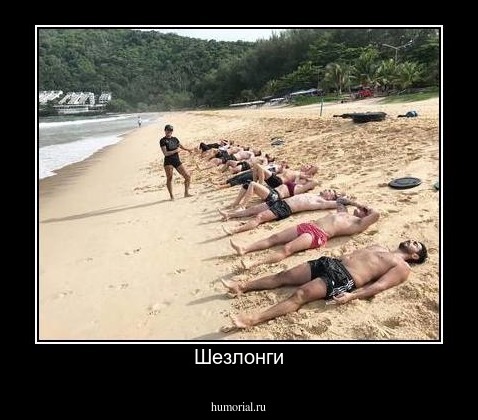 Шезлонги