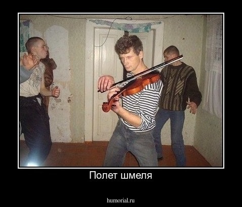 Полет шмеля