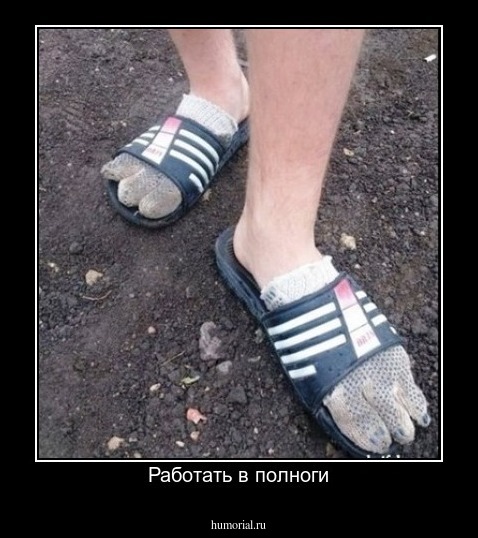 Работать в полноги