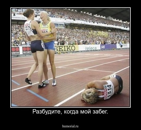 Разбудите, когда мой забег.