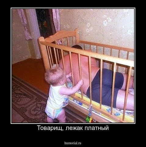 Товарищ, лежак платный