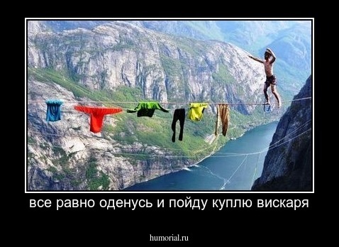 все равно оденусь и пойду куплю вискаря