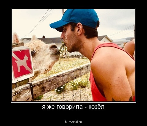 я же говорила - козёл