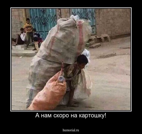 А нам скоро на картошку!