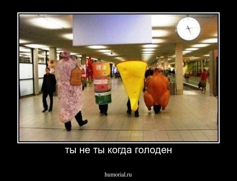 ты не ты когда голоден