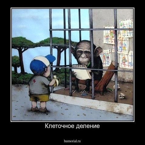 Клеточное деление