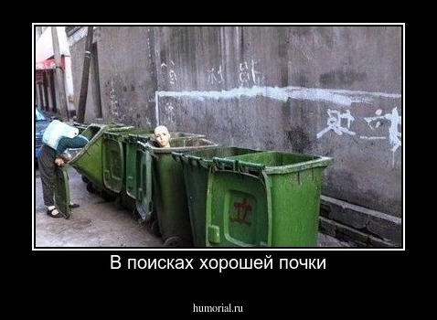В поисках хорошей почки