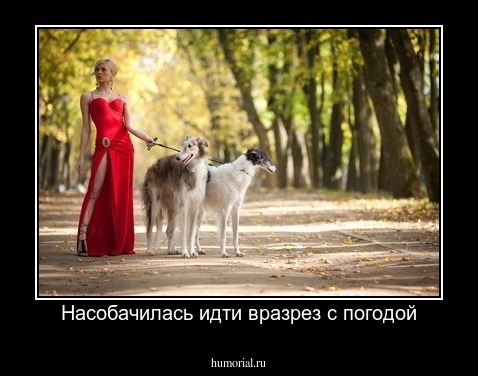 Насобачилась идти вразрез с погодой