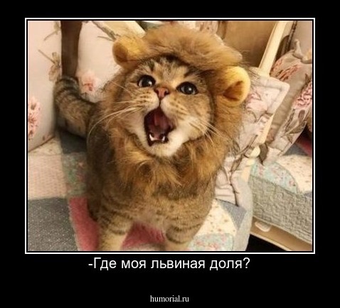 -Где моя львиная доля?