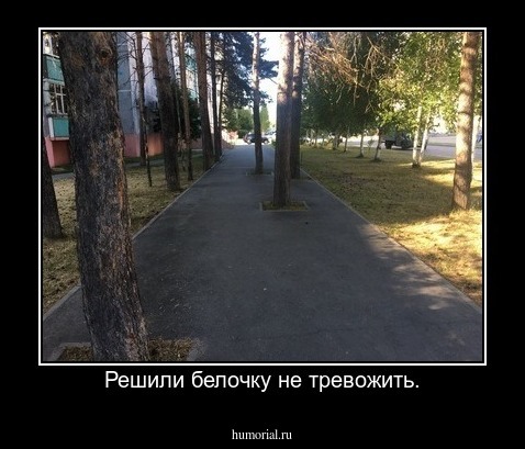 Решили белочку не тревожить.