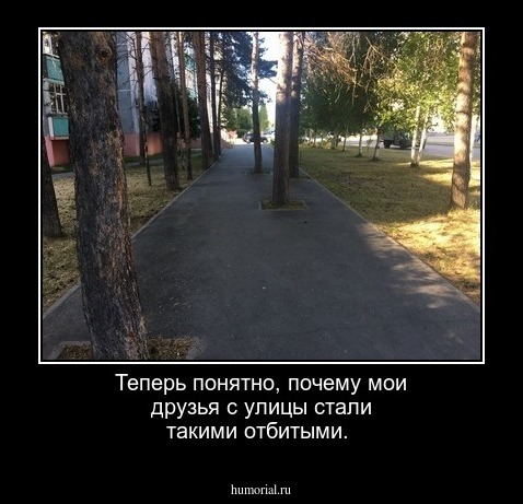 Теперь понятно, почему мои друзья с улицы стали такими отбитыми.