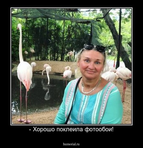- Хорошо поклеила фотообои!