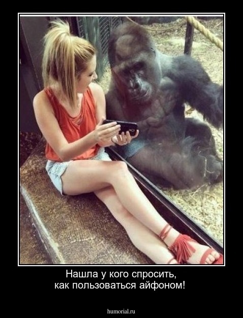 Нашла у кого спросить, как пользоваться айфоном!