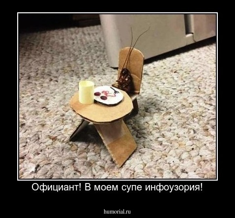 Официант! В моем супе инфоузория!