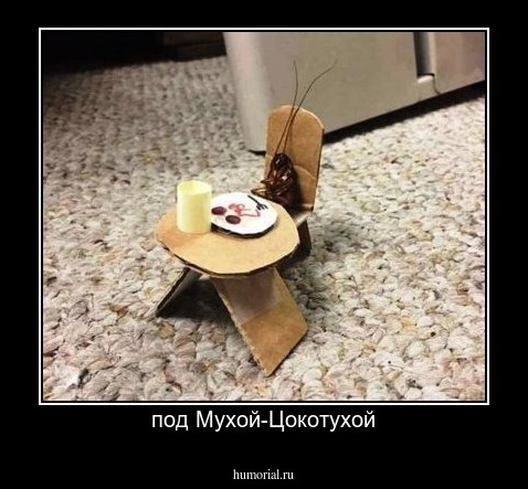 под Мухой-Цокотухой