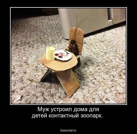 Муж устроил дома для детей контактный зоопарк.