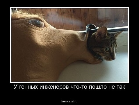 У генных инженеров что-то пошло не так