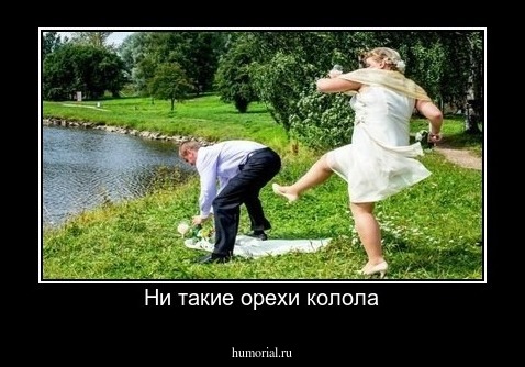 Ни такие орехи колола