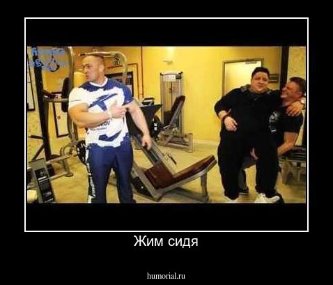 Жим сидя