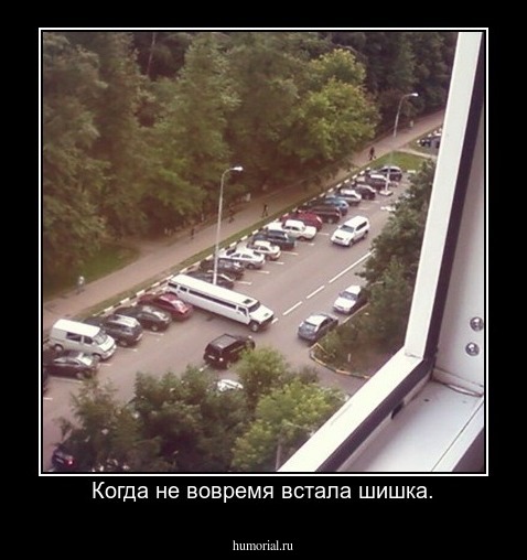 Когда не вовремя встала шишка.