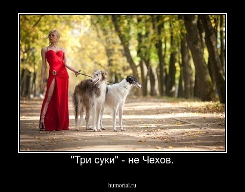 "Три суки" - не Чехов.