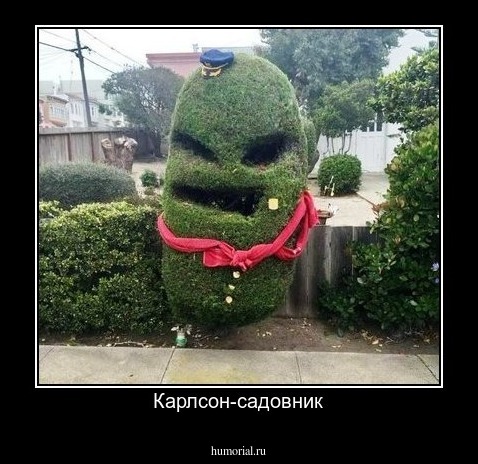Карлсон-садовник