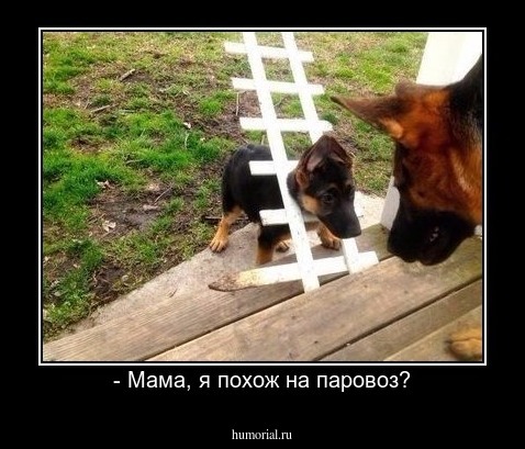 - Мама, я похож на паровоз?