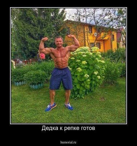 Дедка к репке готов