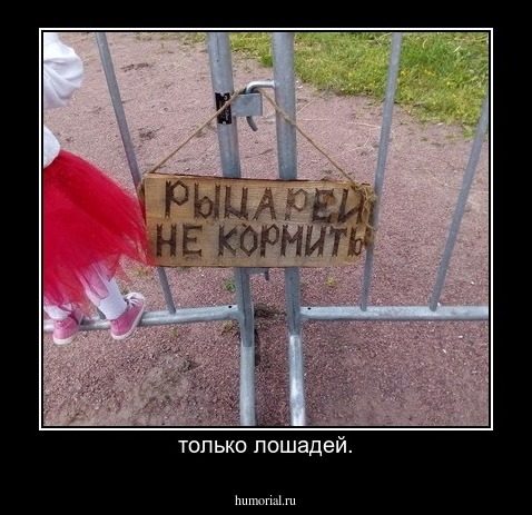 только лошадей.