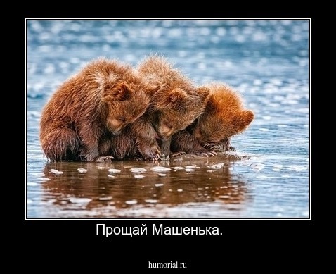 Прощай Машенька.    