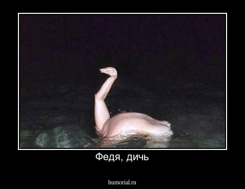 Федя, дичь
