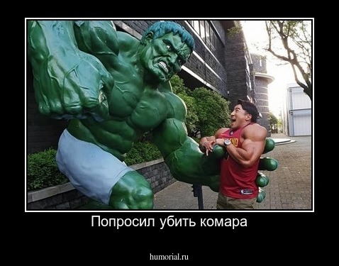 Попросил убить комара