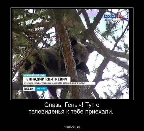 Слазь, Геныч! Тут с телевиденья к тебе приехали.