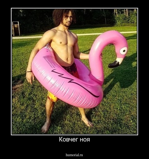 Ковчег ноя