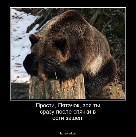 Прости, Пятачок, зря ты  сразу после спячки в гости зашел.