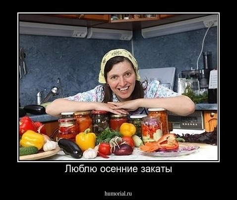 Люблю осенние закаты