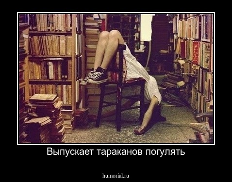 Выпускает тараканов погулять