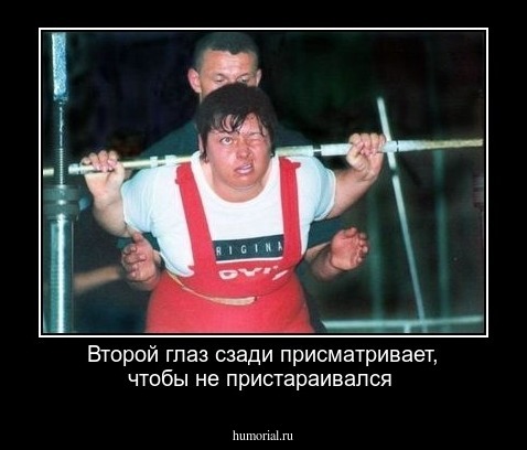Второй глаз сзади присматривает, чтобы не пристараивался