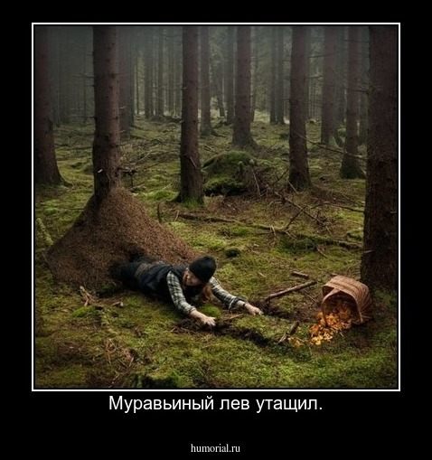 Муравьиный лев утащил.