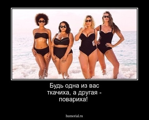 Будь одна из вас ткачиха, а другая - повариха!